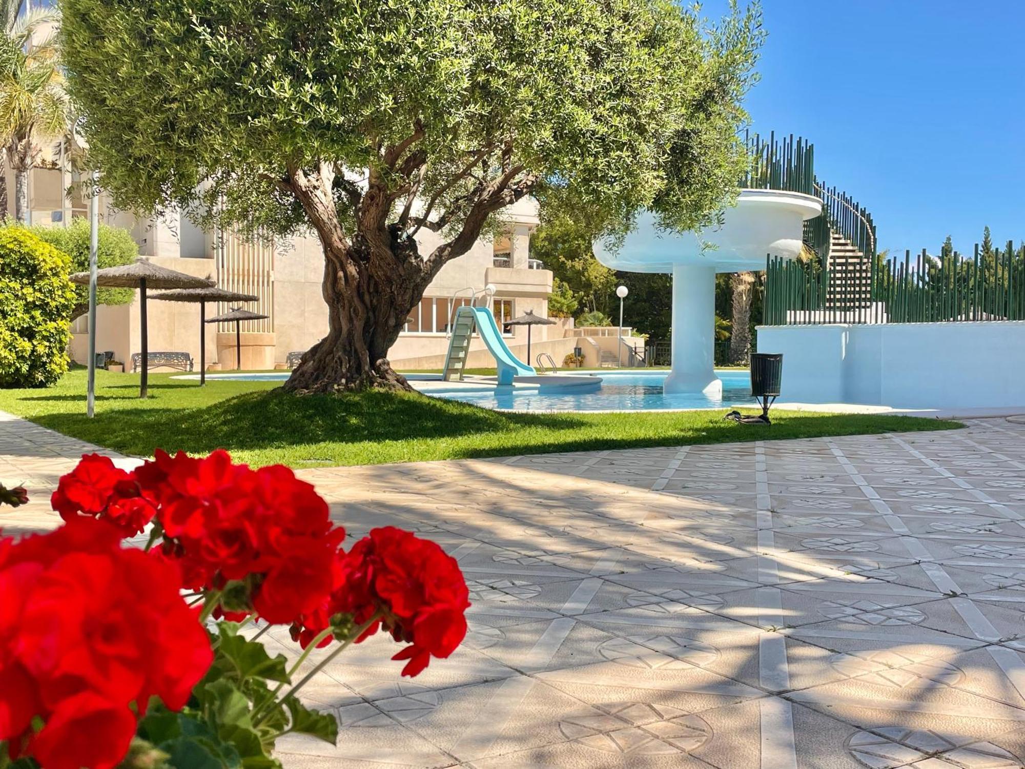 Large Relaxed Terrace, Golf Views Apartment Аликанте Екстериор снимка